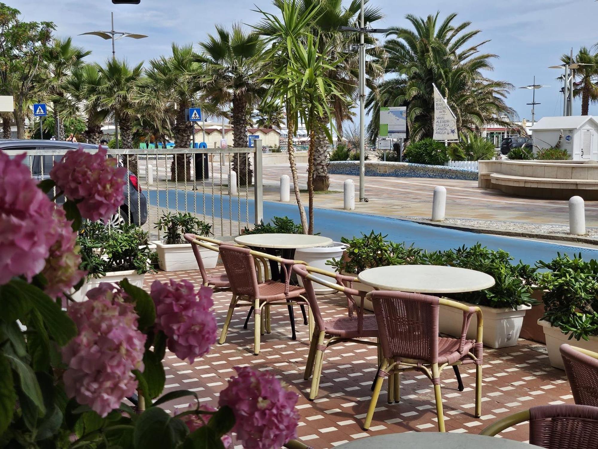 Hotel Villa Rosa ミザーノ・アドリアーティコ エクステリア 写真